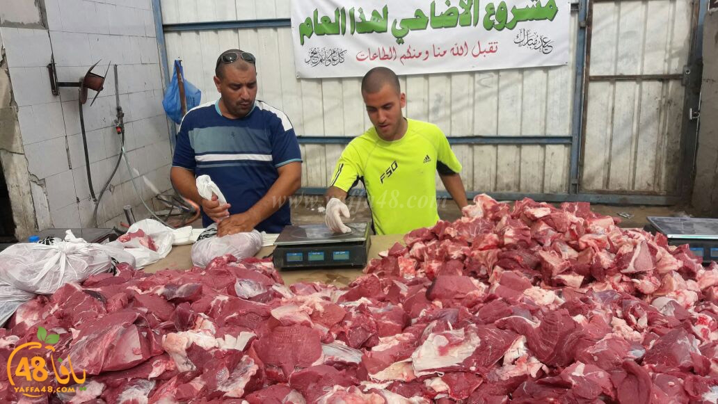 lod8om ada73y (49).jpg